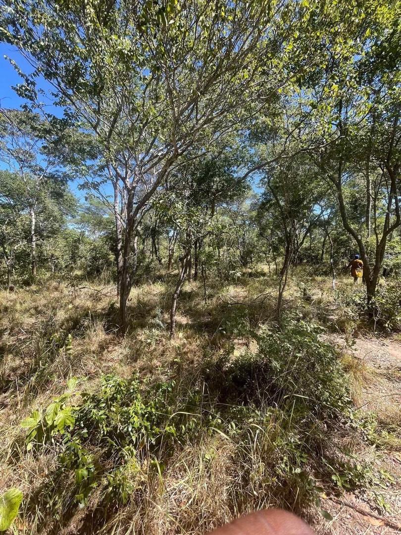 5-Hectare Farm in Chisamba